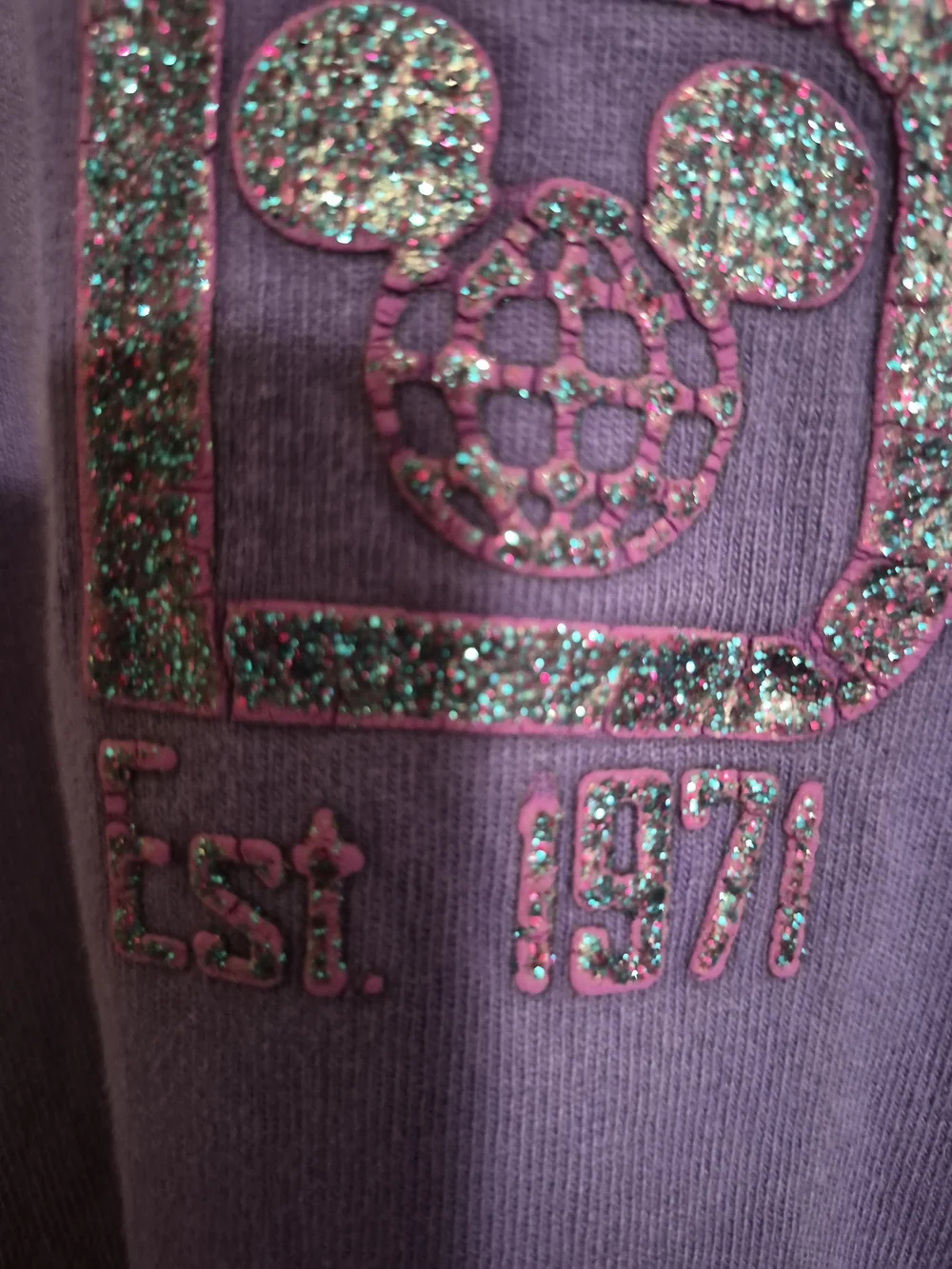 Size XS Disney Parks Purple Est 1971 Glitter Sweat Shirt